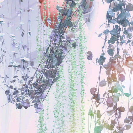 String Of Hearts Have Arrived!
